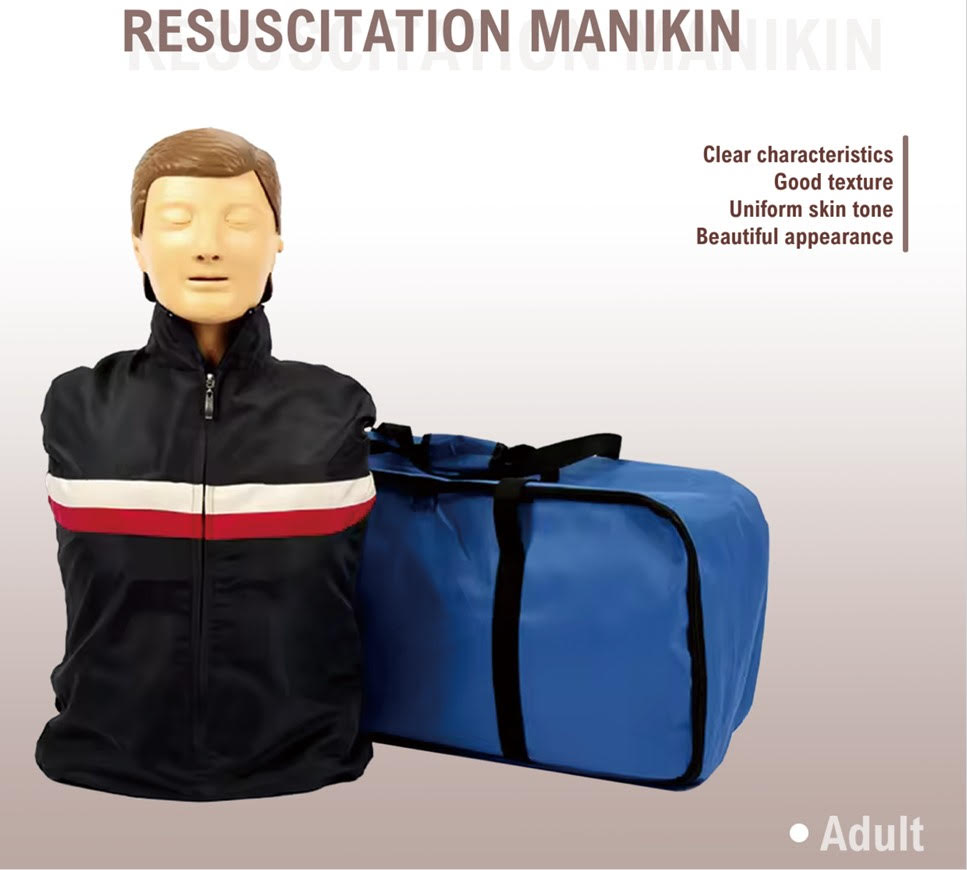 Adult Manikin