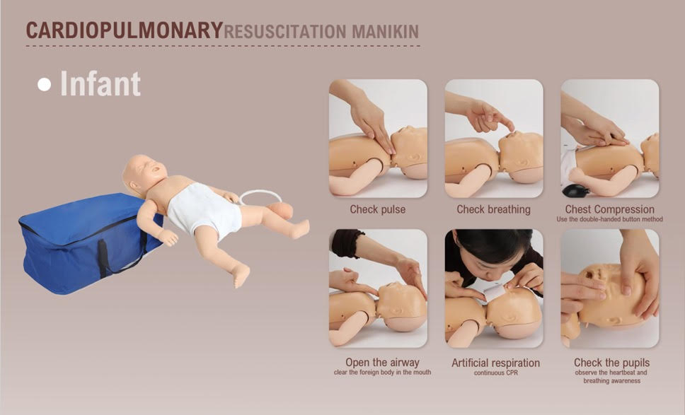 Infant CPR Manikin